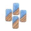 Resin & Walnut Wood Pendants RESI-S389-049B-2