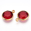 K9 Glass Charms X1-GLAA-T023-37A-04-2