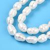 Natural Cultured Freshwater Pearl Beads Strands PEAR-N012-03R-01-4