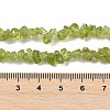 Natural Peridot Beads Strands G-P332-48-01-3