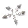 Natural Labradorite Pendants G-O194-02-1