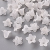 Transparent Acrylic Beads PLF018-01-1