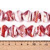 Handmade Lampwork Beads LAMP-N033-01L-4