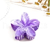 Resin Claw Hair Clips PW-WG0E0E6-05-1
