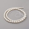 Natural Cultured Freshwater Pearl Graduated Beads Strands PEAR-G007-05A-2