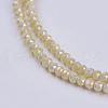 Electroplate Glass Beads Strands GLAA-F077-FR02-3