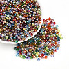 Transparent Colours Rainbow Glass Seed Beads SEED-N007-08-1