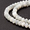 Natural Trochid Shell/Trochus Shell Beads Strands SSHEL-O001-24A-02-3