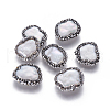 Natural Cultured Freshwater Pearl Beads PEAR-F015-17-1
