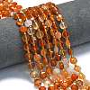 Natural Red Agate Beads Strands G-C116-A12-02-1