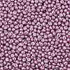6/0 Glass Seed Beads SEED-L011-08A-29-3