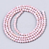 Natural Freshwater Shell Beads Strands X-BSHE-T009-01D-2