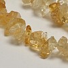 Chip Natural Citrine Beads Strands X-G-N0134-21-2