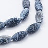 Natural Weathered Agate Beads Strands G-K261-08A-3