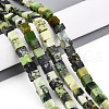 Natural Serpentine Beads Strands G-T140-36A-1