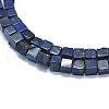Natural Lapis Lazuli Beads Strands G-F631-C10-3