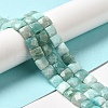 Natural Amazonite Beads Strands G-C109-A12-02-2
