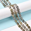 Natural Labradorite Beads Strands G-C238-37-2