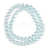 Transparent Glass Beads Strands GLAA-H038-02C-2