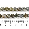 Natural Sunstone Stone Beads Strands G-NH0021-A05-01-5