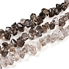 Natural Smoky Quartz Beads Strands G-B072-A01-01-01-1