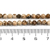 Natural Picture Jasper Beads Strands G-P572-B03-4mm-5