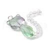 5Pcs Glass Pendants PALLOY-JF04006-4