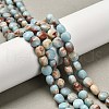 Synthetic ShouShan Stone Beads Strands G-C179-A6mm-26-1