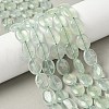 Natural Prehnite Beads Strands G-F790-A02-02-1