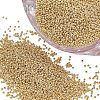 Ornaland 12/0 Round Glass Seed Beads SEED-OL0001-08A-02-1