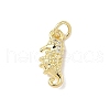 Brass Micro Pave Cubic Zirconia Charms ZIRC-I356-13G-03-1