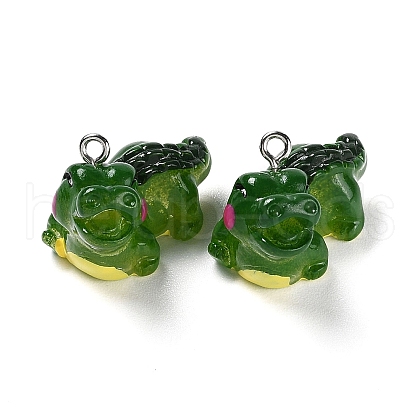 Opaque Resin Pendants RESI-G077-01-1