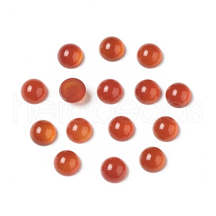 Natural Red Agate Cabochons G-G994-J03-01-1