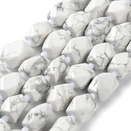 Natural Howlite Beads Strands G-C182-23-02-1
