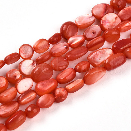 Natural White Shell Beads Strands SHEL-N036-21F-1
