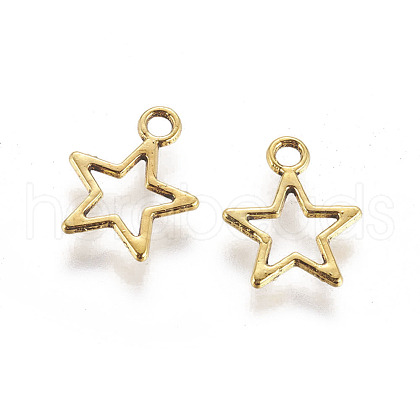 Tibetan Style Alloy Charms GLF10651Y-1