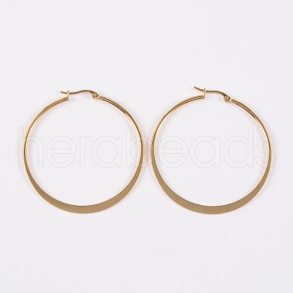 304 Stainless Steel Hoop Earrings EJEW-P040-20-B-1