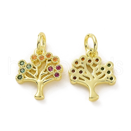 Brass Micro Pave Cubic Zirconia Charms KK-E068-VF090-1
