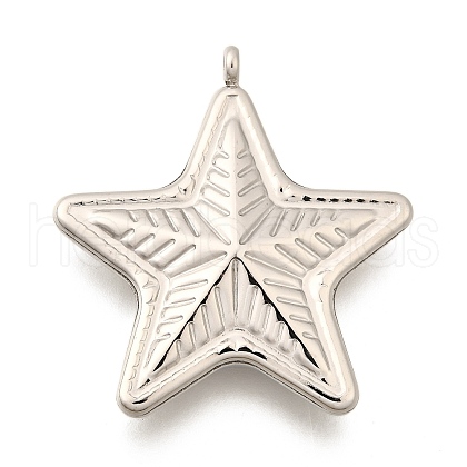 Non-Tarnish 304 Stainless Steel Pendants STAS-C073-03P-1-1
