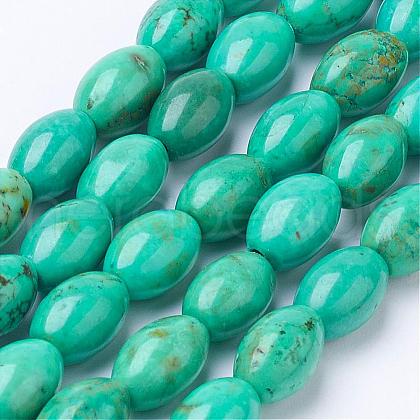 Natural Howlite Bead Strands G-P286-08-A-1