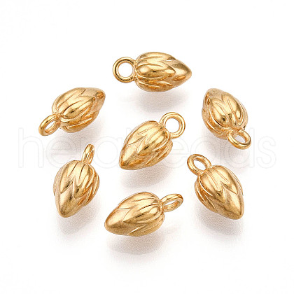 304 Stainless Steel Charms STAS-N109-102G-1