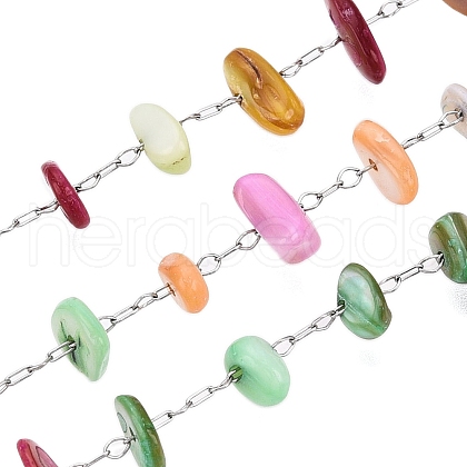 Handmade Dyed Shell Beads Chains CHS-T006-14P-A-1