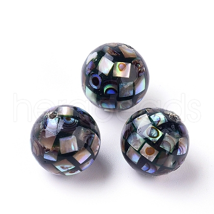 Natural Abalone Shell Beads SSHEL-E437-1-1