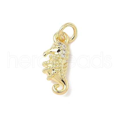 Brass Micro Pave Cubic Zirconia Charms ZIRC-I356-13G-03-1