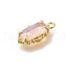 Brass Glass Charms KK-U061-10G-04-2