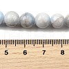 Natural Striped Stone Beads Strands G-D315-A01-01-8mm-5