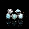 Natural Larimar Beads PW-WG6E28C-01-1