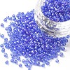 8/0 Round Glass Seed Beads SEED-US0003-3mm-166-1