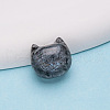 Natural Labradorite Beads PW-WGCDB4B-01-1
