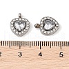 304 Stainless Steel Cubic Zirconia Pendants STAS-A076-02P-01-3